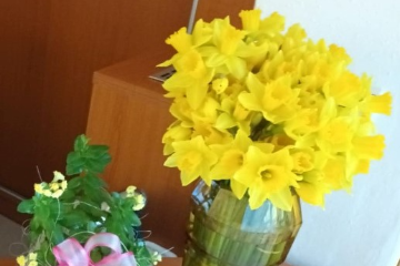 Poděkování panu Linhartovi za květiny k MDŽ - 1