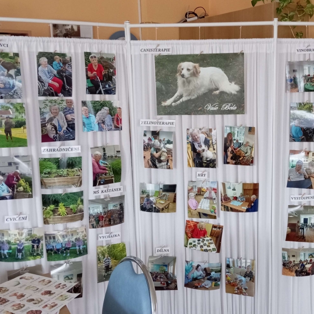 Společenské hry a trénování paměti - 3