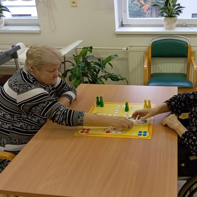 Společenské hry a trénování paměti - 5