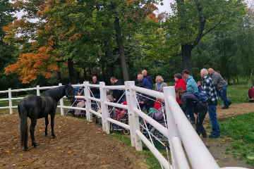 Hřebčín Slatiňany - výlet