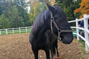 Hřebčín Slatiňany - výlet - 12