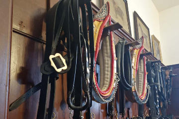 Hřebčín Slatiňany - výlet - 13