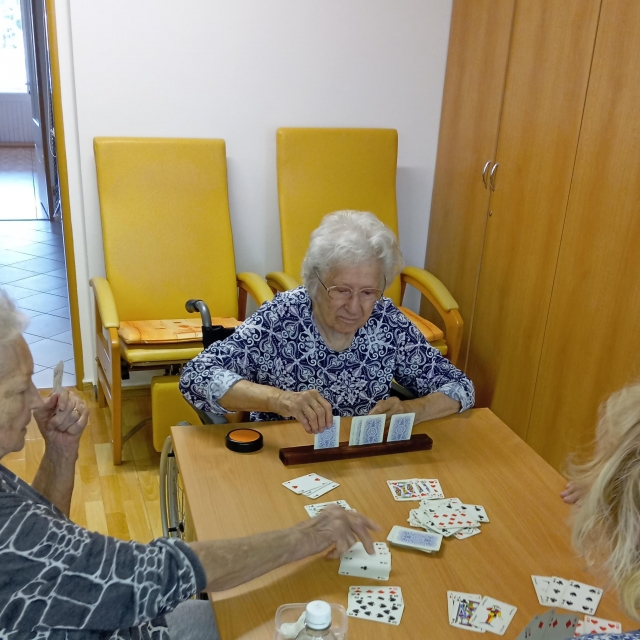 Společenské a karetní hry + skládání perlanu - 1