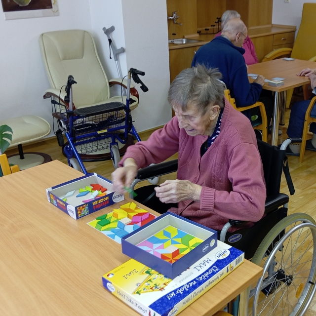 Společenské a karetní hry + skládání perlanu - 3