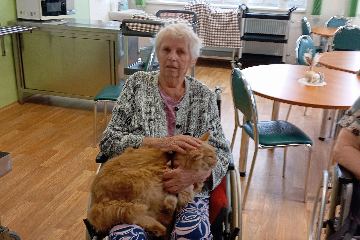 Cvičení a felinoterapie - 3