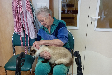 Cvičení a felinoterapie - 2