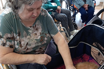 Cvičení a felinoterapie - 1