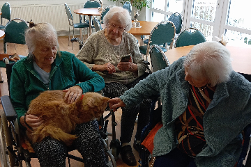 Cvičení a felinoterapie - 4