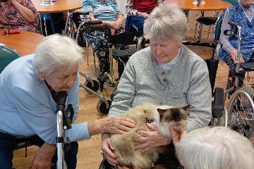 Cvičení a felinoterapie