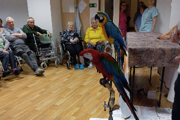 Papoušci - 4