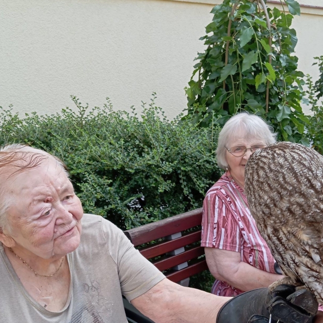 Ukázky výcviku ptáků a sov - 17