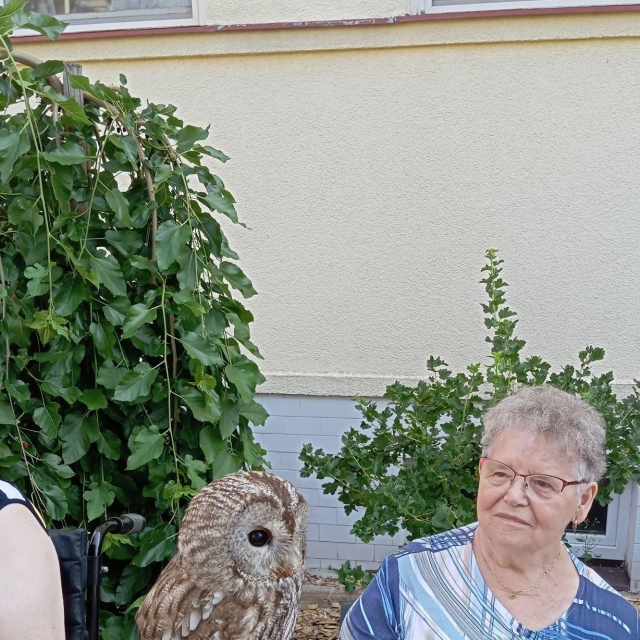 Ukázky výcviku ptáků a sov - 3